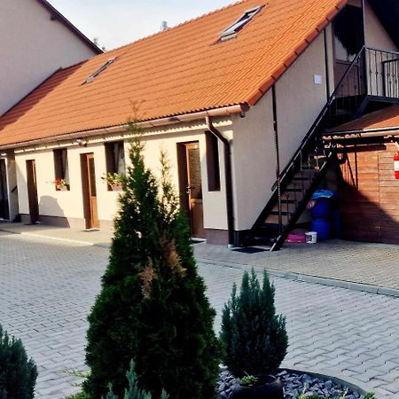 Farkaslaki Panorama Vendeghaz Hotel Lupeni  Exterior foto